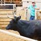 Round-Up for Rehab Abilene Sale