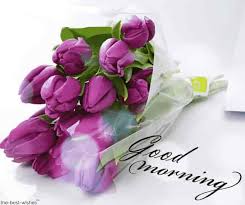 Flower Wallpaper Rose Purple Rose Good Morning Download all photos and use them even for commercial projects. flower wallpaper rose purple rose good