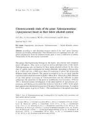 Image result for Tabernaemontana eglandulosa