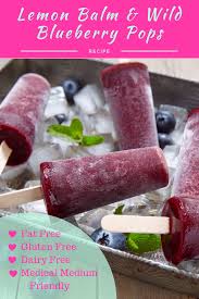 Lemon Balm Popsicles Recipe In 2020 Healing Recipes Medium Recipe Healing Diet