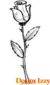 Orkid lukisan bunga abstrak lukisan bunga sakura gambar corak batik lakaran lukisan bunga cara lukis bunga lukisan flora lukisan bunga rose lukisan bunga anggrek lukisan burung. Cara Melukis Mawar Dalam Pensil Atau Arang Langkah Demi Langkah