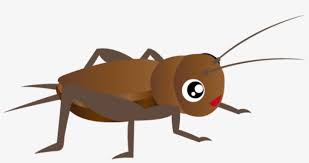 Cricket Insect Png Hd Insect Clipart Png Transparent Png 592x283 Free Download On Nicepng About 27% of these are pest control. cricket insect png hd insect clipart