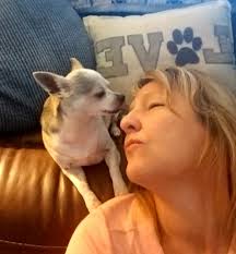 Meet my pet challenge: Follow me