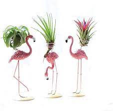 Amazon Com Air Plant Container Tabletop Planter Tillandsia Planter Pink Flamingo Holder For Indoor Garden Office Desk Container Plants Air Plants Plants