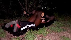 the bridge - part i: free hd porno vid 65 - - wonporn.com