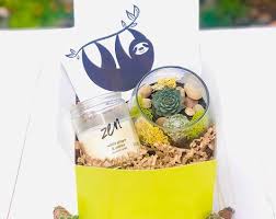Sloth Care Package With A Sloth Card Zen Candle And A Diy Mini Terrarium Kit Don T Worry Be Happy Sloth In 2020 Mini Terrarium Terrariums Kits Personalized Gift Sets