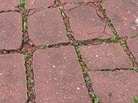 Bricks provide a classic look and last for generations. How To Choose Between Brick And Concrete Pavers Today S Homeowner