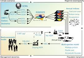 Maybe you would like to learn more about one of these? Ecosystem Based Fisheries Management Forestalls Climate Driven Collapse Nature Communications