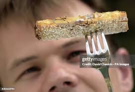Image result for deep fried mars bar