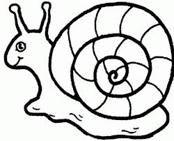 Free snail pictures for kids download free clip art free. Snail Pictures For Kids Coloring Home
