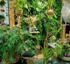 Urban Jungle Exotisches Pflanzen Arrangement Wie Im Dschungel Garten Exotische Pflanzen Und Pflanzen