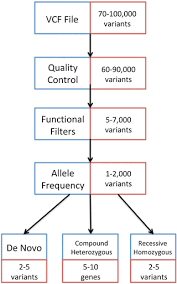 (courtesy of the lacks family) Genetic Technologies And Causal Variant Discovery Springerlink