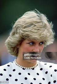 35 Windso Stock Photos, High-Res Pictures, and Images