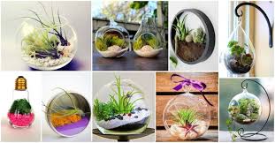 Immer kreativ, immer ein wenig hammamama. 1001 Ideen Wie Sie Eine Gartendeko Selber Machen