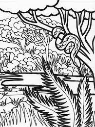 They can serve as added knowledge to your kid's idea of animals, plants, and wildlife. Boa Snake Rainforest Animal Coloring Page Download Print Online Coloring Pages For Free Animal Coloring Pages Jungle Coloring Pages Rainforest Animals