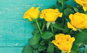 41 flower arrangements with roses. The History And Meaning Of Yellow Roses Floweraura