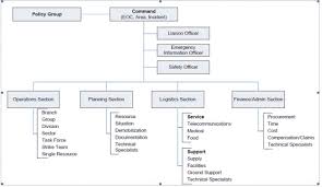 guideline for the application of incident management system