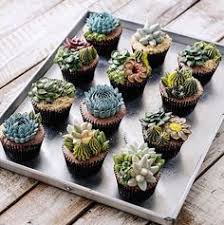 Rich buttercream frosting adds a pretty finish and a buttery, sweet layer to your favorite cakes. 110 Cactus Cake Ideas Cactus Cake Cupcake Cakes Cake