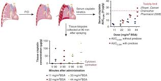 Hearing the doctor tell you that you've got cancer is undoubtedly one of the worst things you may experience. Intracavitary Cisplatin Fibrin Chemotherapy After Surgery For Malignant Pleural Mesothelioma A Phase I Trial The Journal Of Thoracic And Cardiovascular Surgery