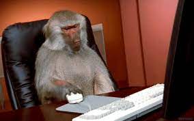 Megan Vlt 10 Choses Que Je Dois Arreter De Faire Baboon Monkey Gif Annoyed Gif