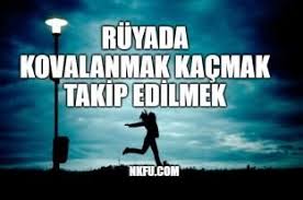 Ruyada Takip Edilmek Kovalanmak Ne Anlama Gelir Kacmak Anlami 2020 Ruya Hayvanlar Isaretler