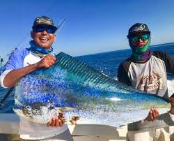 Check spelling or type a new query. Costa Rica Fishing Charters Mahi Mahi Dolphin Fishing