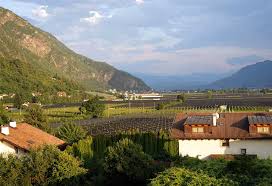 Take part in diverse sports — hiking, cycling and ping pong. Theiners Garten Erfahrungsbericht Zu Dem Bio Hotel In Sudtirol