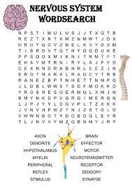 Biology Word Search Puzzle The Nervous System Includes Solution Teaching Resources