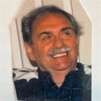 Mr. Michael L. Leo Obituary