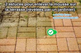 2 Astuces Pour Enlever La Mousse Sur La Terrasse Revelees Par Un Jardinier Nettoyage Terrasse Nettoyer Terrasse Terrasse