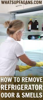 How To Remove Fridge Odor And Smells That Are Really Bad Cleaning Tips From A Professional Cleaner Spring Fridge Odor Refrigerator Smells Refrigerator Odor