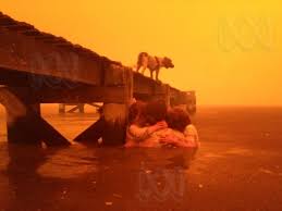 Kitchen equipment australia fires did it start with jesse. Tasmanian Fire Threats Downgraded But Alerts Remain Abc News Australian Broadcasting Corporation