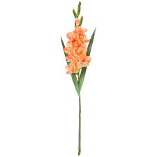 Real touch flowers hobby lobby. Coral True Touch Gladiola Stem Hobby Lobby 65432