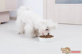 Diamond Naturals Dog Food Review Analysis