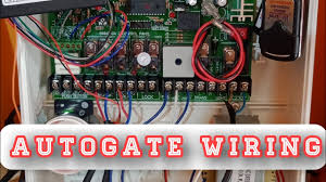 Kadal adalah hewan reptil yang terkadang masuk ke dalam rumah tanpa diundang. Sistem Wiring Autogate Yg Betul Youtube
