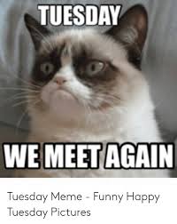 Here are the 150 best happy tuesday quotes, including tuesday inspirational and motivational quotes. 25 Happy Tuesday Meme Funny Images Jokes Picss Mine