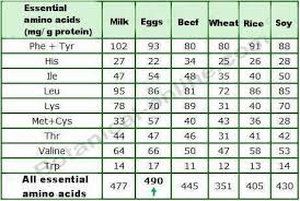 Amino Acids That Are Missing In Cereals Legumes And Other