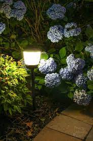 How To Install Landscape Lights And Repel Mosquitoes Landscape Lighting Mosquito Repelling Plants Mosquito Repellent