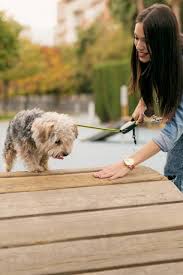 Check spelling or type a new query. 17 Of The Best Airbnb Experiences For Dog Lovers