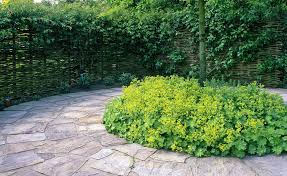 Pflasterkreise Gestaltungsideen Und Verlegetipps Pflasterkreis Garten Und Gartenweg