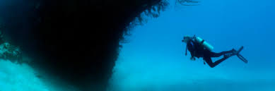Bermuda Snorkeling Guide 9 Best Dive Sites In Bermuda Conde Nast Traveler