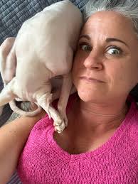 Super Bowl Outfits for Sphynx Cats