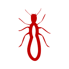 Pest inspection property buyers pest control gold coast building buildings bed bugs treatment construction tower. Commercial Bug A Way