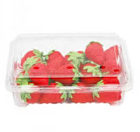 Fruit Clamshell Packaging