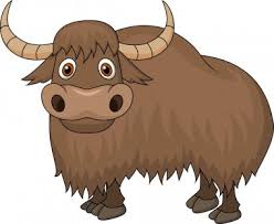 Download Yak Free Vector Eps Cdr Ai Svg Vector Illustration Graphic Art