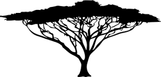 Ihre familie gehörte zum volk der kikuyu, dem größten volk in kenia. Wandtattoo Afrikanischer Baum Tenstickers