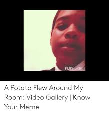 Play along with guitar, ukulele, or piano with interactive chords and diagrams. 25 Best Memes About A Potato Flew Around My Room Song Lyrics Meme A Potato Flew Around My Room Song Lyrics Memes