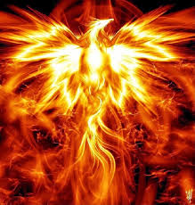 Gunun Resmi Anka Kusu Phoenix Webkenti 2020 Anka Kusu Dovmeleri Phoenix Fantezi Resimler