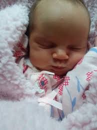 Paul Nood And The Squishy Squishies