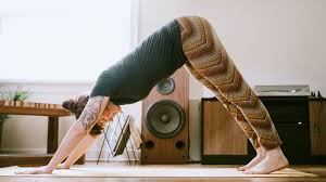 Shoulder Impingement And External Rotation Shoulder Anatomy Shoulder Impingement Downward Dog